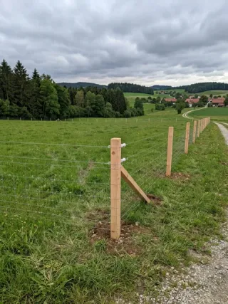 Weidezaun in Würzburg - fachgerechte Ausführung vor Ort